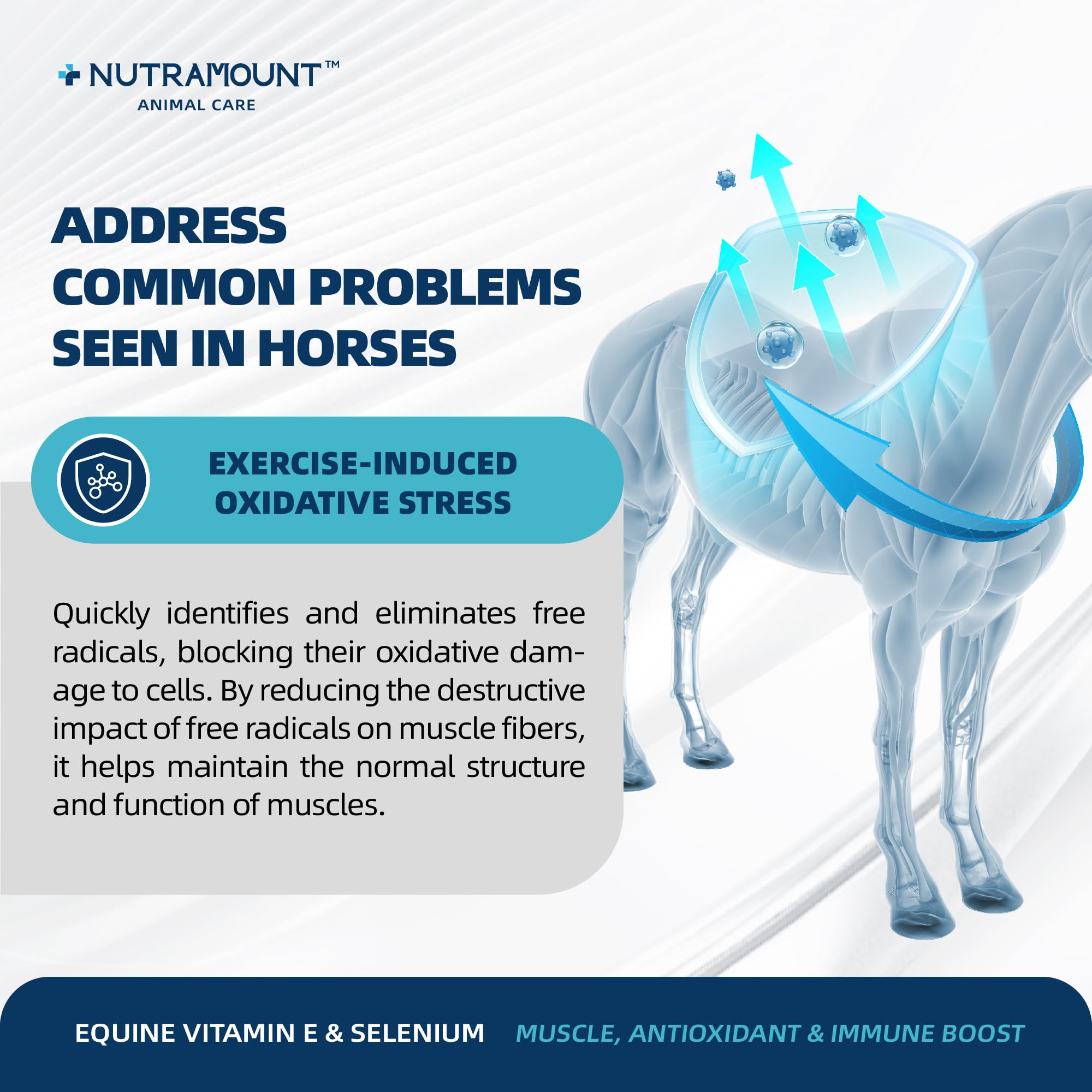 Horse Vitamin E & Selenium Supplement Powder – Natural Vitamin E 24% & Yeast Selenium – Daily Equine Antioxidant & Muscle Support – 100 Day Supply — Amazon image 4