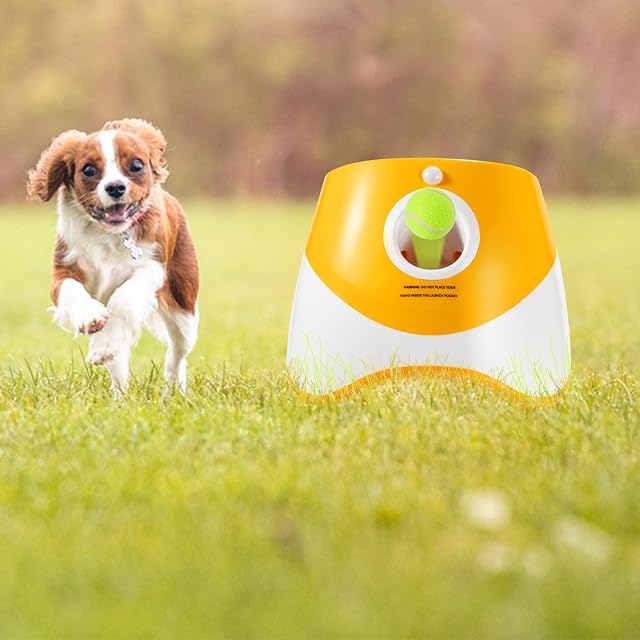 Foto 7 de 7 de Galatée Lanzador Automático De Pelota, Pequeño Lanzador De Bolas Interactivo