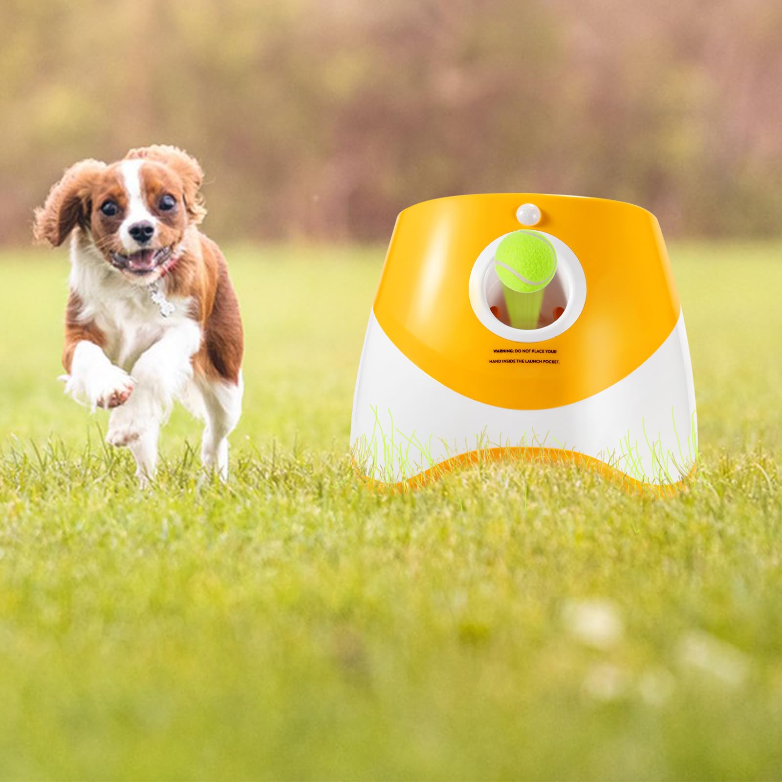 Galatée Lanciatrice Automatica a Sfera, Lanciagranate Per Palline Interattiva, Lanciagrana Automatica Per Cani, Lanciatore Di Palle Per Cani Con 6 Mini Palline Da Tennis(Arancia)