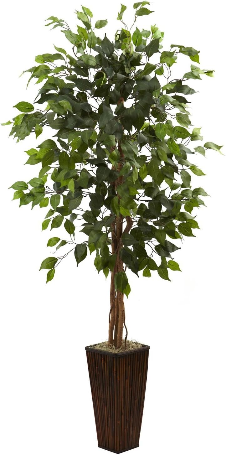 Amazon Nearly Natural 5924 5.5Feet Ficus Tree with Bamboo Planter