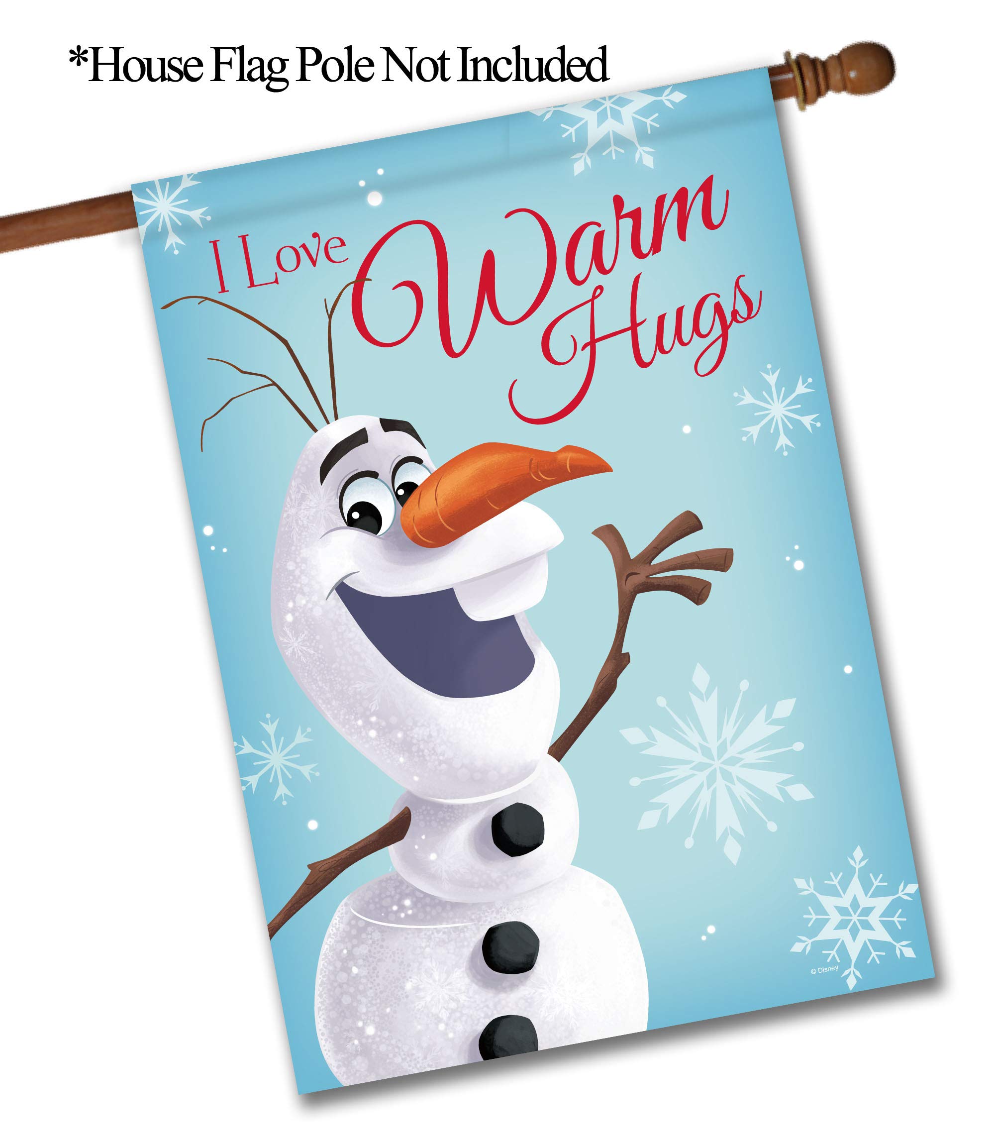 Amazon.com : Flagology.com, Disney Olaf Love Warm Hugs – House