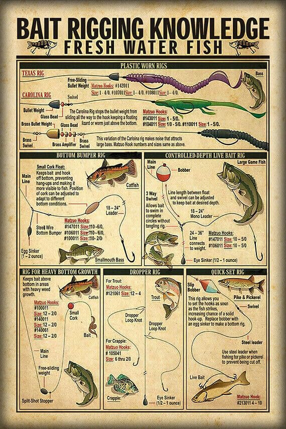 釣り餌索具知識淡水魚漁ポスターフルサイズスズ看板 寸法: 200mm x 300mm (8 x 12 インチ)