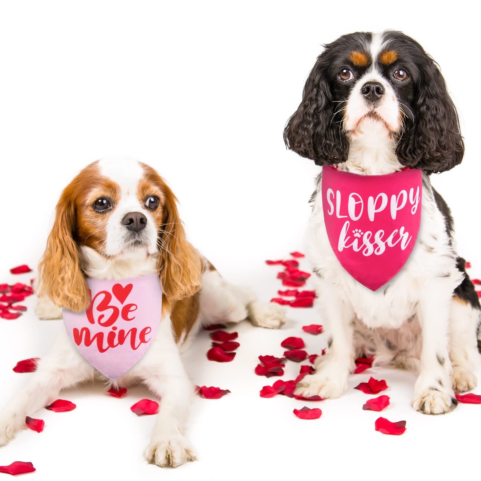 Whaline Hundehalstücher Zum Valentinstag – 4 Stück, Wendbar, Baumwolle