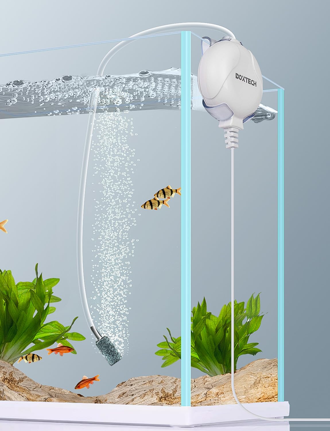 PICCOLA POMPA DI Ossigeno USB Facile Da Usare Vasca Per Pesci Mini