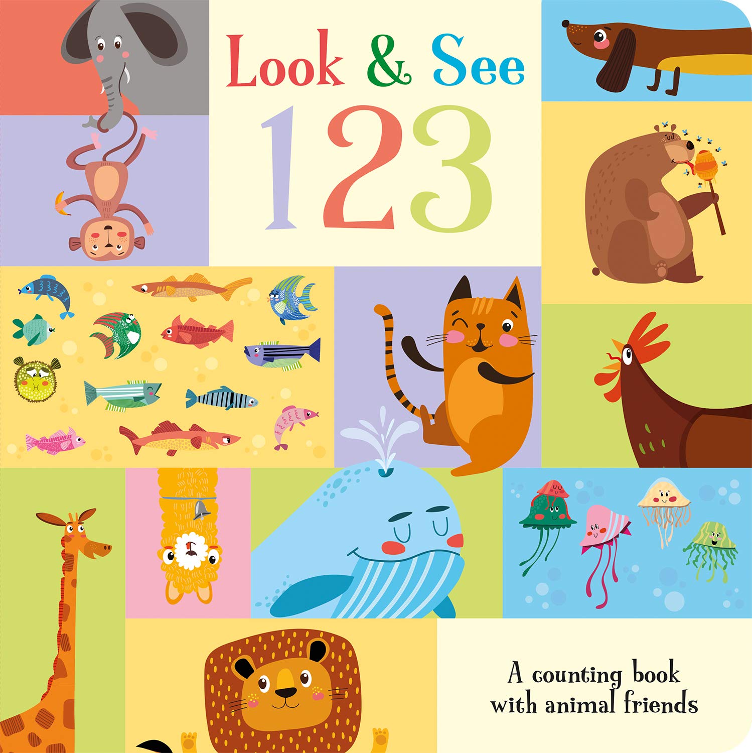 Look & See 123 by Amber Lily BOARD BOOK 9781789585292