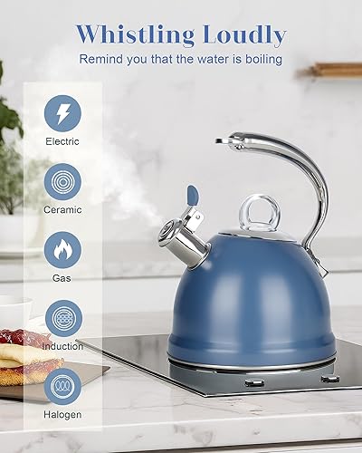 Miniatura 4 de Harriet Estufa de tetera de acero inoxidable de 2.5 cuartos de galón, base de 3 capas, mango ergonómico único, incluye soporte para olla y alfombra,