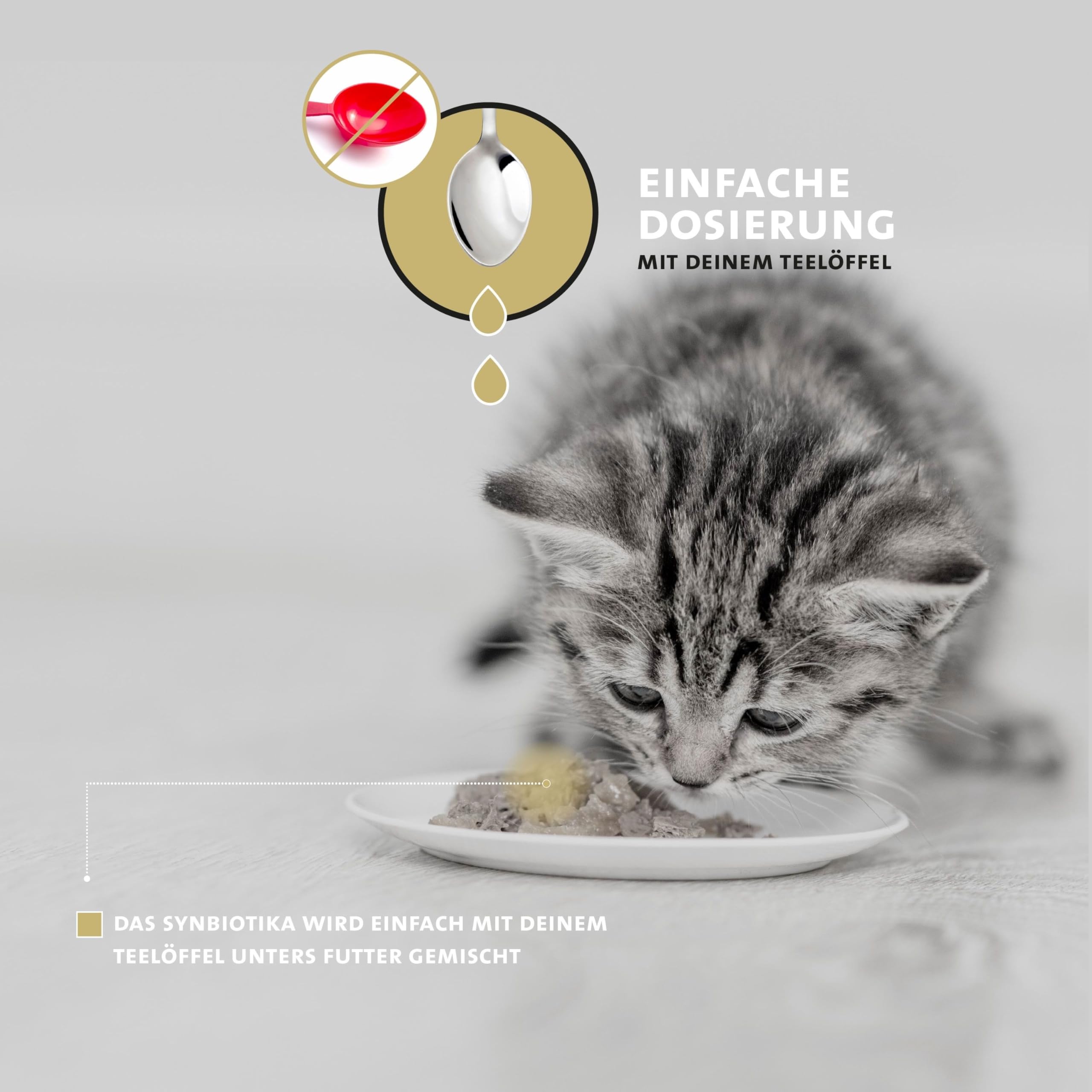 Peticare Katzen Präbiotika & Probiotika | Immunsystem stärken, Darmsanierung, Darmflora aufbauen | lindert Allergie-Anfälligkeit & Juckreiz | mit innovativem Corvitalis® Komplex - petCat Health 3501
