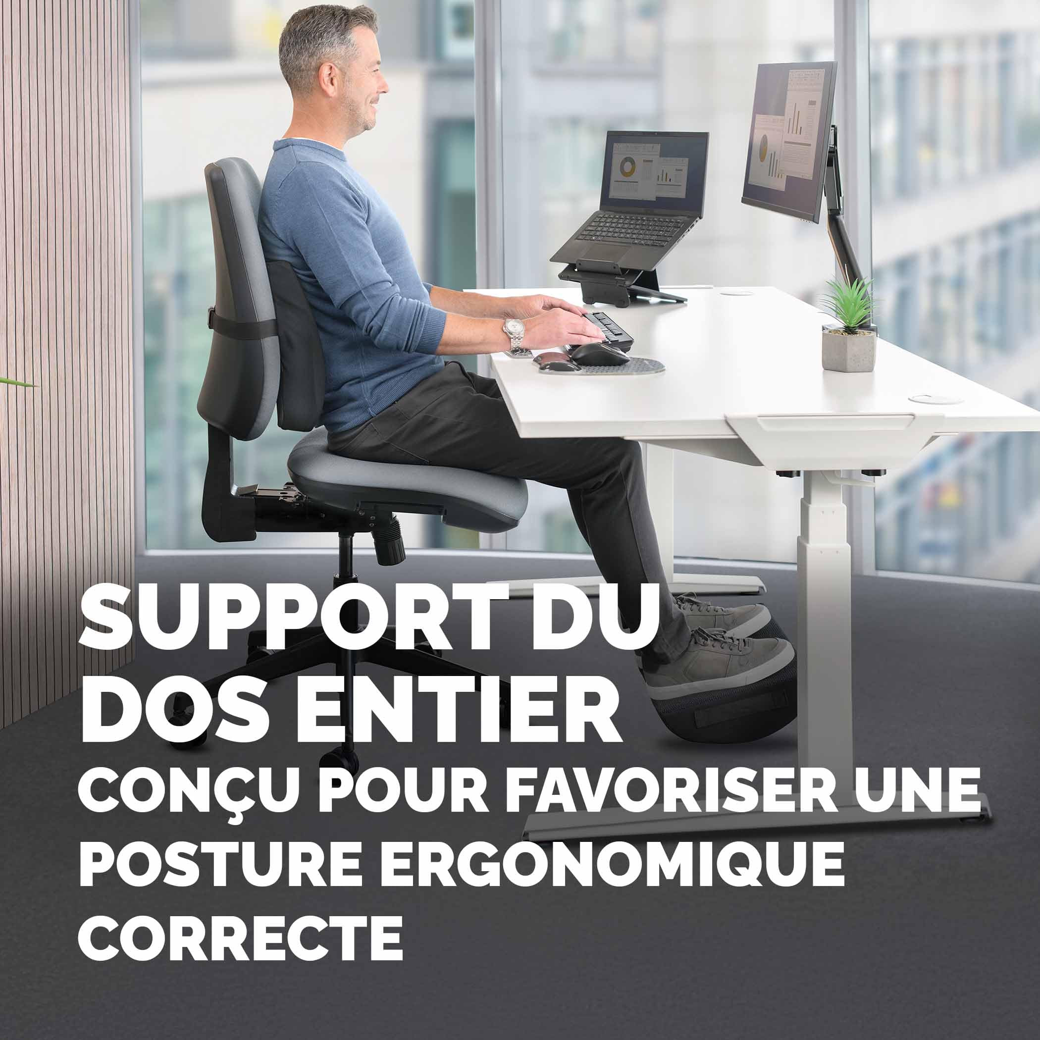 Fellowes Coussin Dorsal Breyta - Support Dorsal Ergonomique, Sangle Ajustable, Matériaux éco-responsables, Transportable avec Une poignée intégrée, Garantie 5 Ans, Idéal pour Le Travail et la Maison