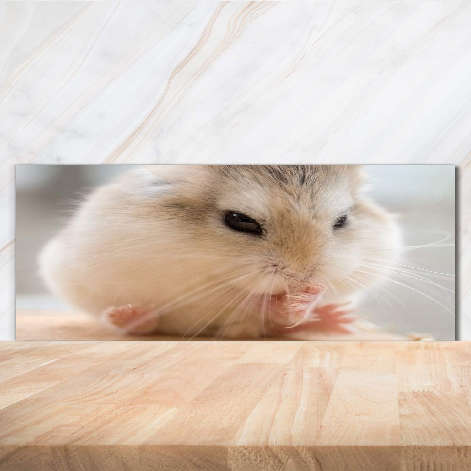 Tulup Crédence de Cuisine 125x50cm Dosseret en Verre Fond de hotte Verre de sécurité trempé Splashback Guard - Animaux - Beige - Hamster