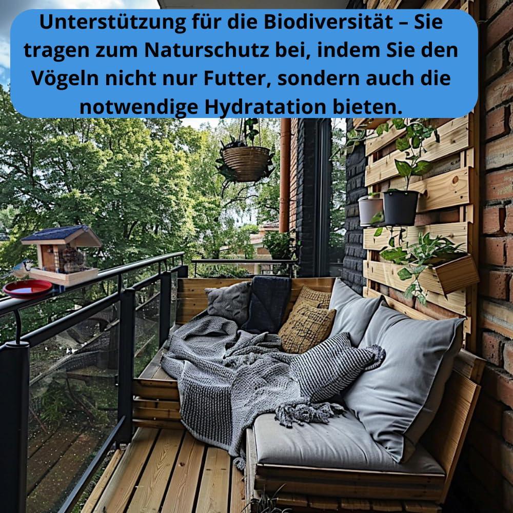 Bebedero para Pájaros Silvestres