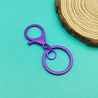 Vista 27 de 30Pcs Lobster Claw Clasps Keychain for Jewelry Making,Metal Lobster Clasp Swivel Trigger Clips with Jump Rings Flat Split Keychain Ring for DIY