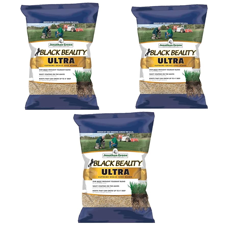 CONCRETE GREEN 3 ／SEEDA DJ ISSO NORIKIYO Amazon.com : JRK 4 Fescue, Low Grow No Mow Grass Seed Mix