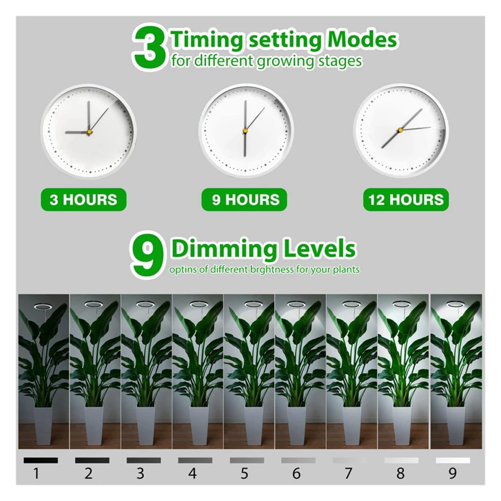 Amazon.co.jp: 植物育成ライト 10 インチ LED リング成長ライト Amazon.co.jp: 植物育成ライト 10 インチ LED リング成長ライト