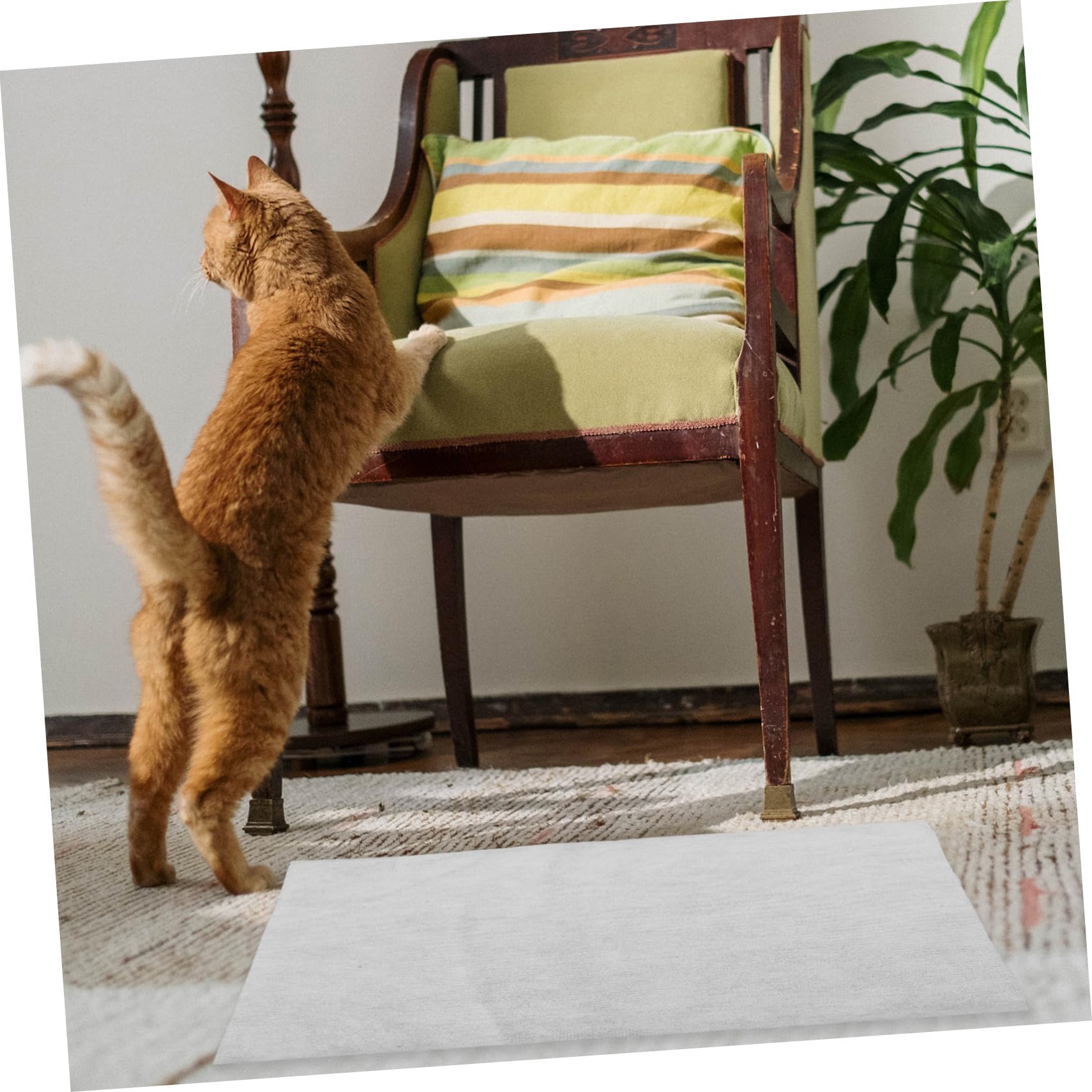 Alèses pour Animaux Super Absorbantes 100 Pièces en Non-tissé pour Chiens | Blanc, Usage Entraînement et Voyage, Format Jetable pour Chiots, Protection Anti-fuite