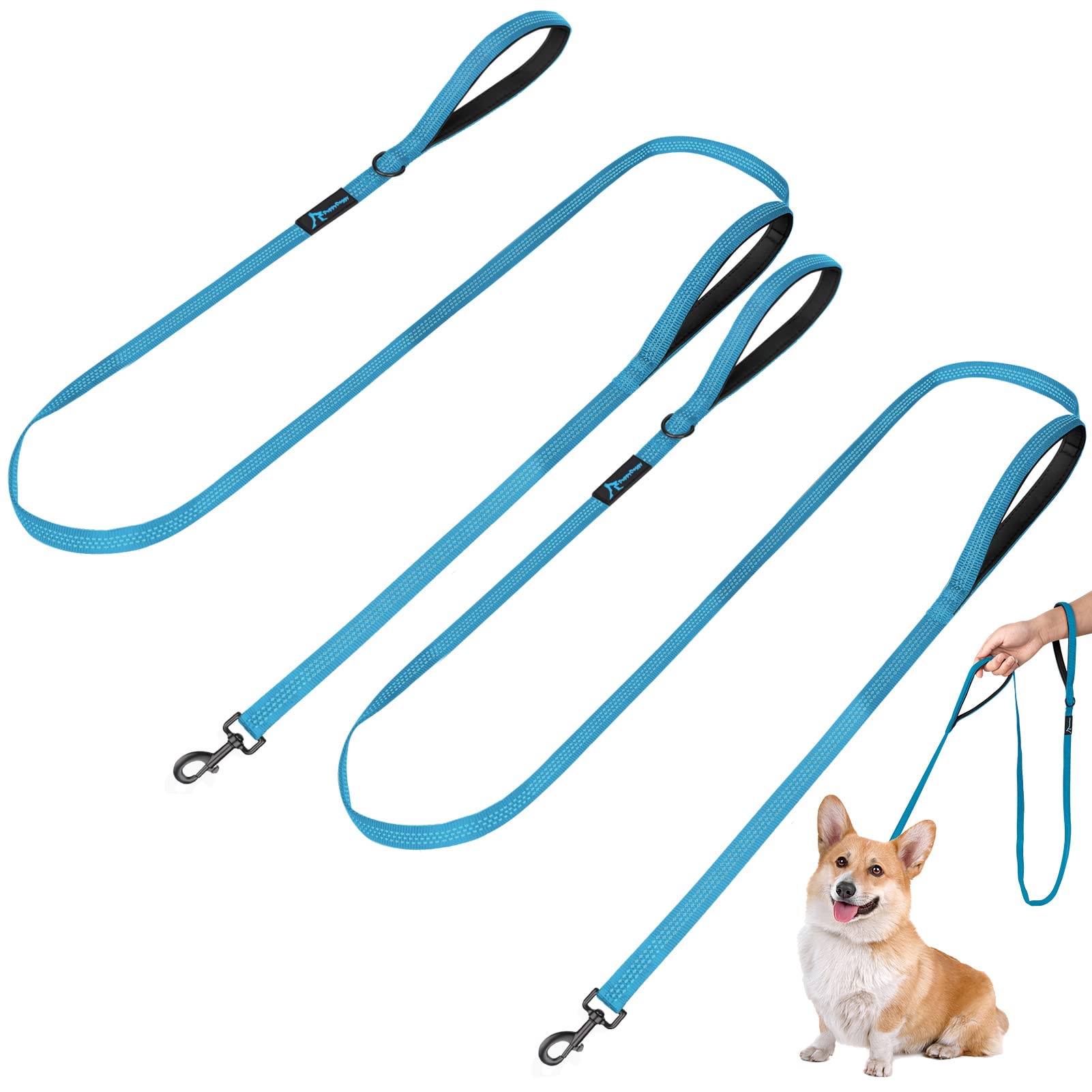PuppyDoggy Dog Leash for Small to Medium Dogs 6 ft with 3 Reflective Stitching and 2 Traffic Padded Handles Dog Lead/Rope, Pet Leash for Running Walking Training (6 ft x 0.6 in - Blue 2 Pack)
