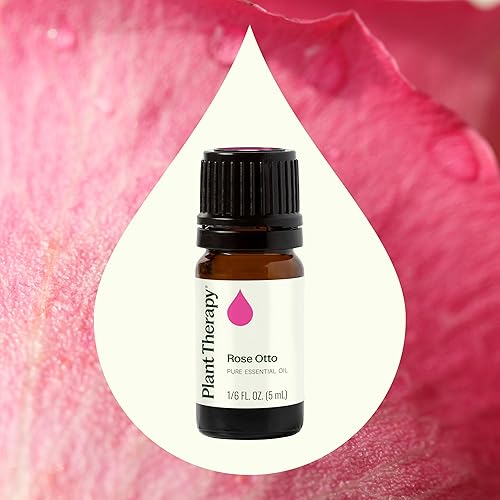 Miniatura 3 de Plant Therapy Aceite esencial Rose Otto 5 mL (16 oz) 100% puro, sin diluir, grado terapéutico