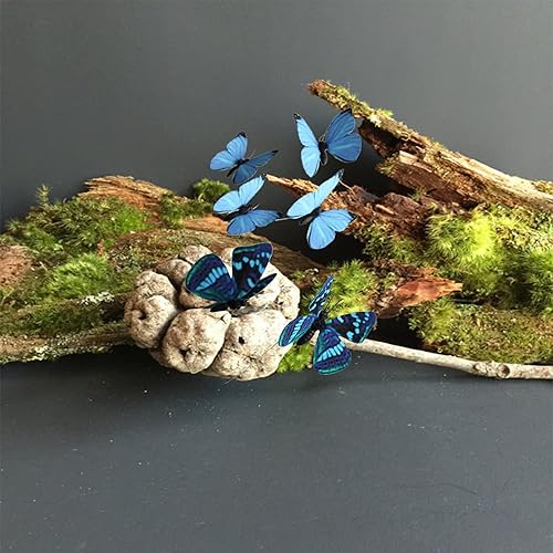 Miniatura 7 de Paquete de 12 decoraciones de mariposa, decoración de estacas de mariposa 3D, 2 tamaños de adorno de mariposa para el hogar, flores falsas,