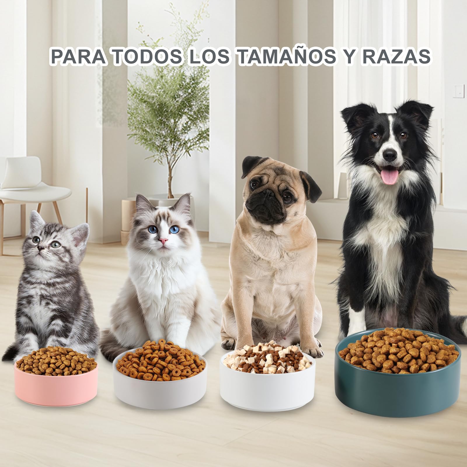 Ceramica Bebedero y Comedero Perro Antideslizante - Comedero para Perros Medianos y Grandes Ideal para Comida y Agua - 21,5 cm - 750 g / 1750 ml - Blanca