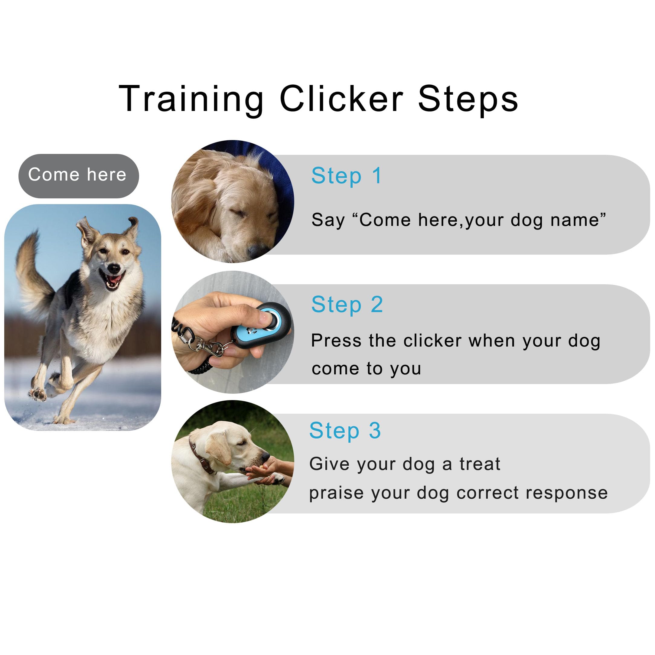 Pet Clicker for Dogs/Cats/Horses/Birds or Other Animals - Clickers for Training (Blue + Green) - image 3