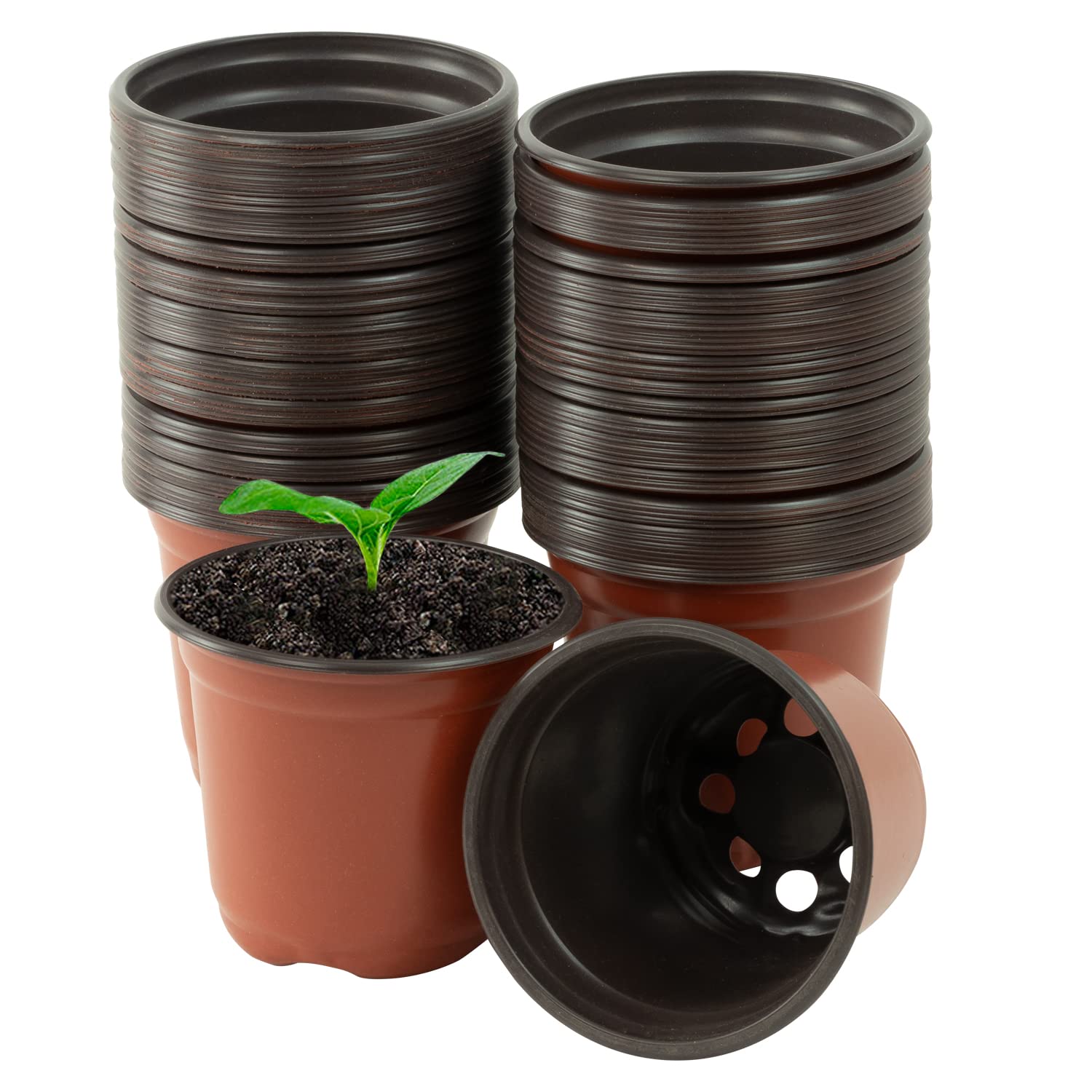 Woodside 10cm Plastic Seedling Pots, Garden Plant/Flower Pots for Nursery & Greenhouse Potting On Trays, pack of 100