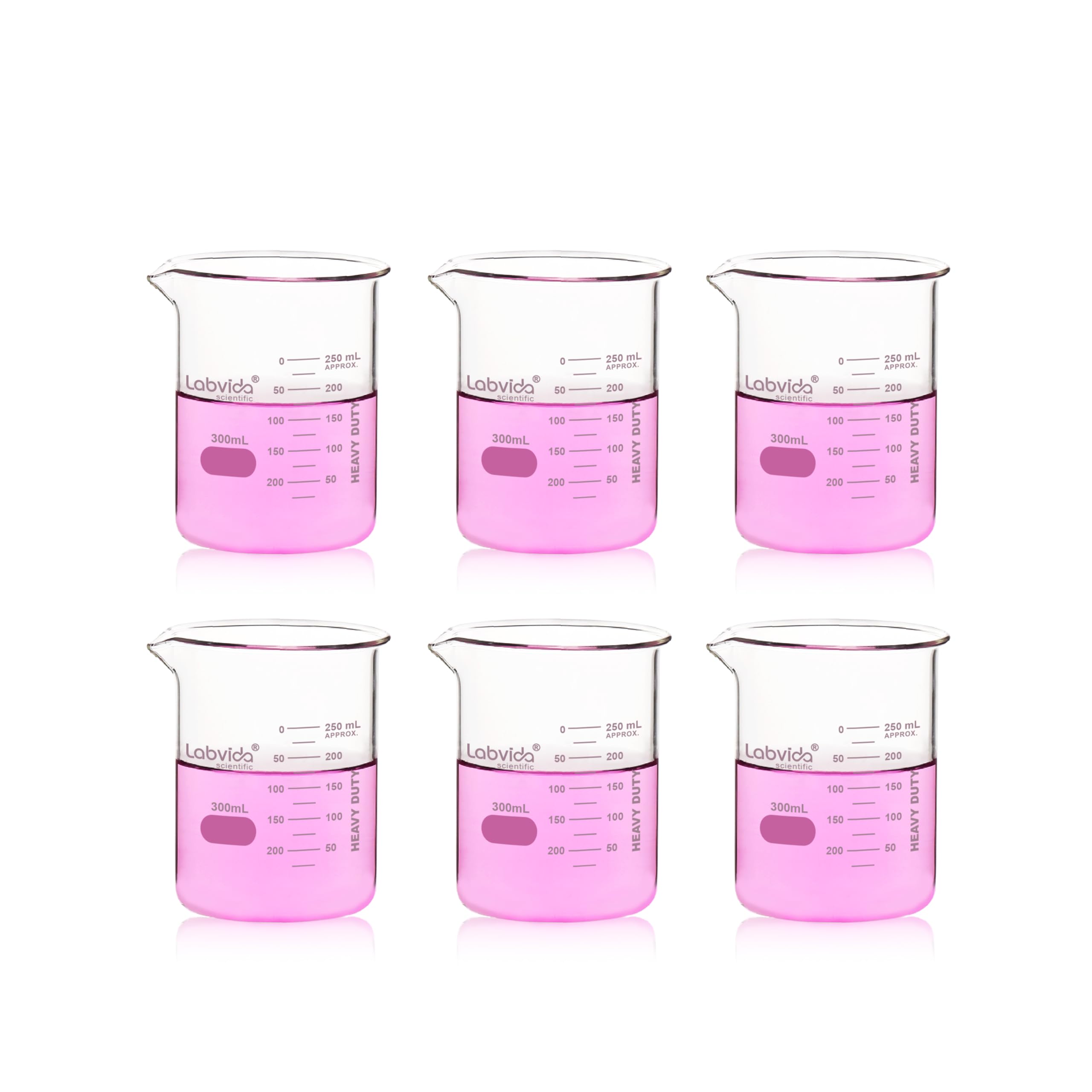 Labvida 6pcs 300ml Upgrated Thick Glass Beakers, Griffin Low Form Beaker Set with Double Scale, 3.3 Boro,LVA021