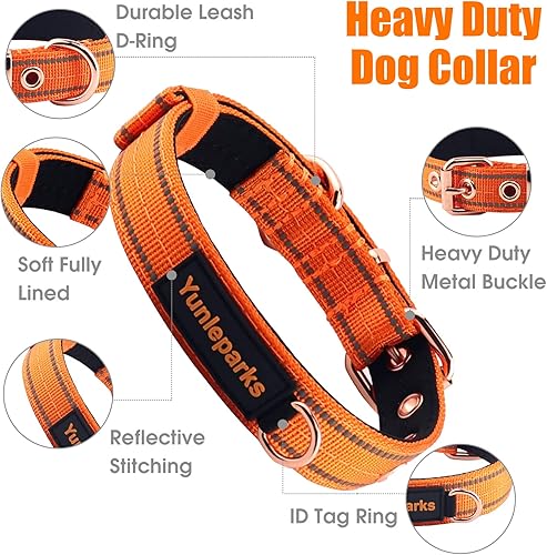 Miniatura 3 de Collar de perro acolchado de neopreno, collar de nylon para perros pequeños a grandes, resistente con hebilla de metal, reflectante (Mediano,