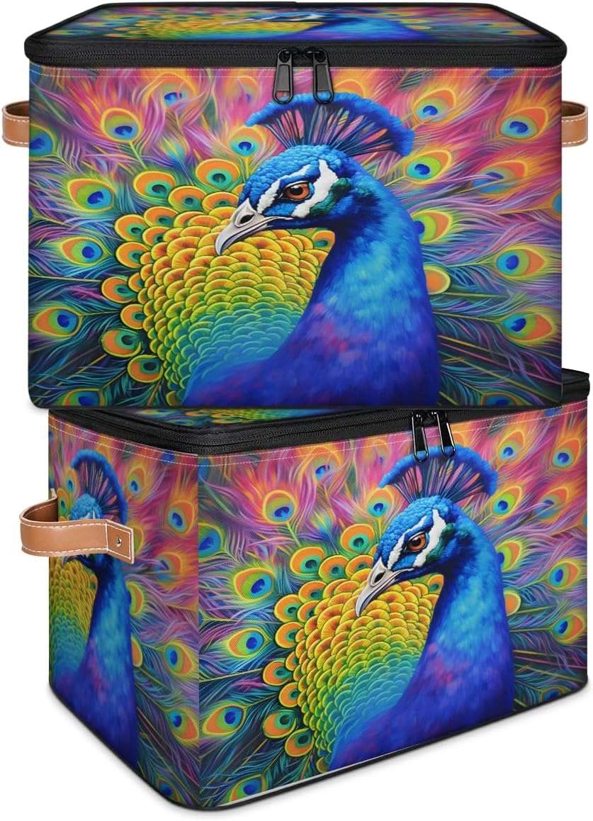 Storage Bin Set of 2 Peacock Feather Storage Basket with Zipper Lid & Handle Foldable Closet Shelf 2 Pack Cloth Organizer Basket Cube Bins Clothes Organizer for Bedroom, Nursery