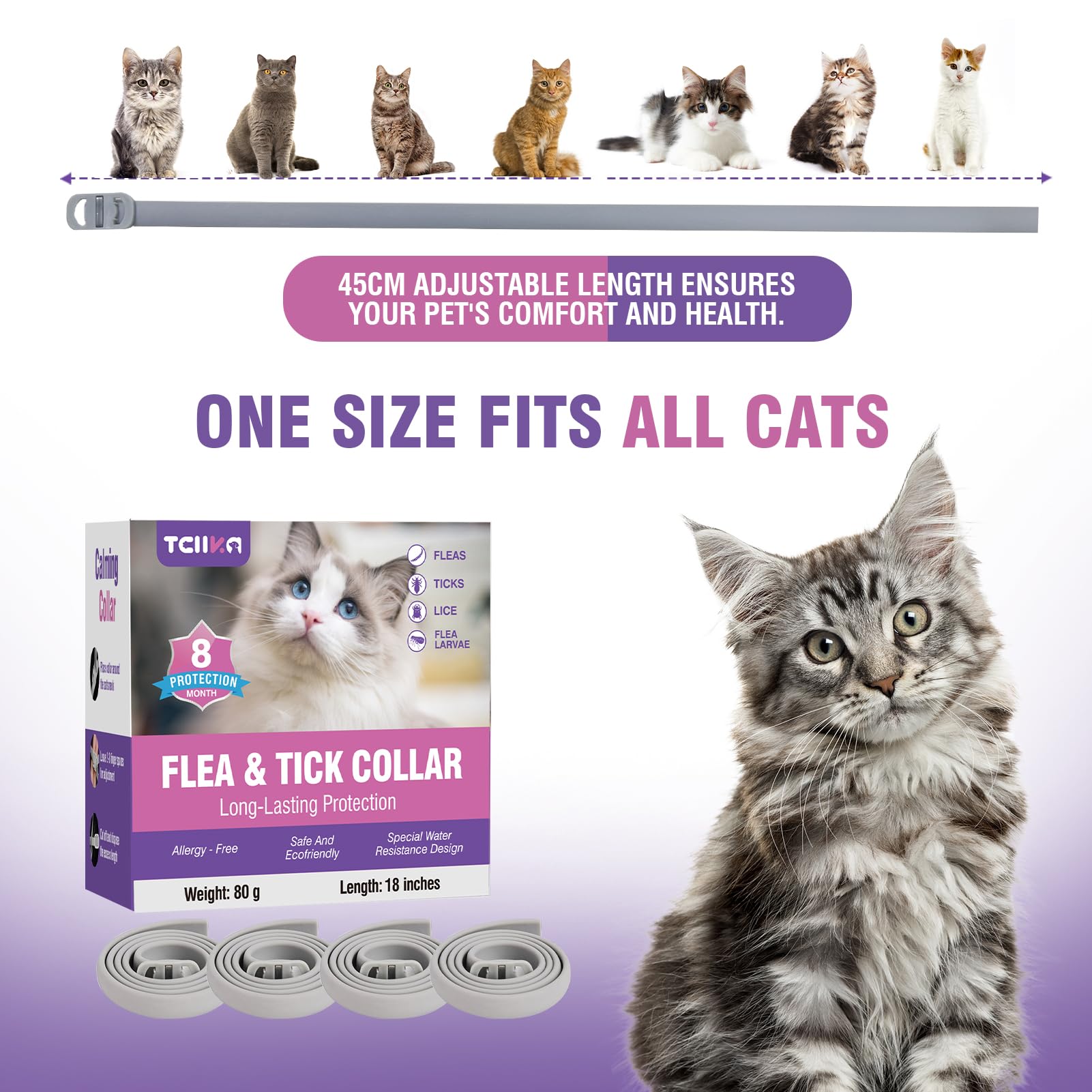 Collar Antiparasitario Gatos Collar Antipulgas Gatos 4piezas Collar Antipulgas y Garrapatas para Gatos Collar Antiparasitario 8meses de ProteccióN Duradera Impermeable TamañO Ajustable Collares Pulgas