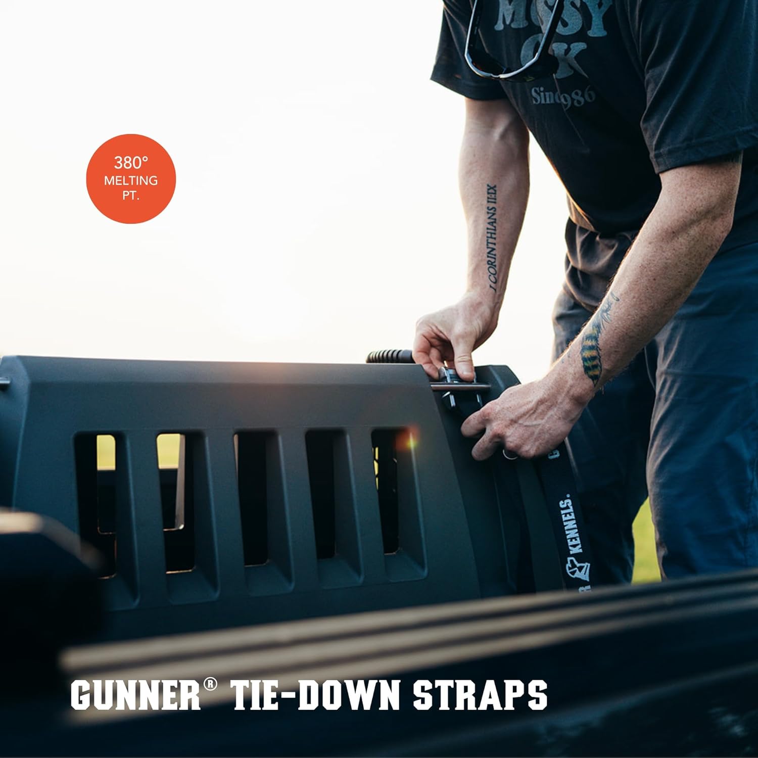 Tie-Down Strap Kit - Cam Buckle Tie-Down Straps for Dog Crate - Security Straps for Trucks - 5,100 LB Break Strength - Combination (2) 8 ft. & (2) 14 ft. (Black)