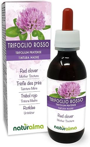 prés ou Trèfle violet (Trifolium pratense) herbe avec Trèfle