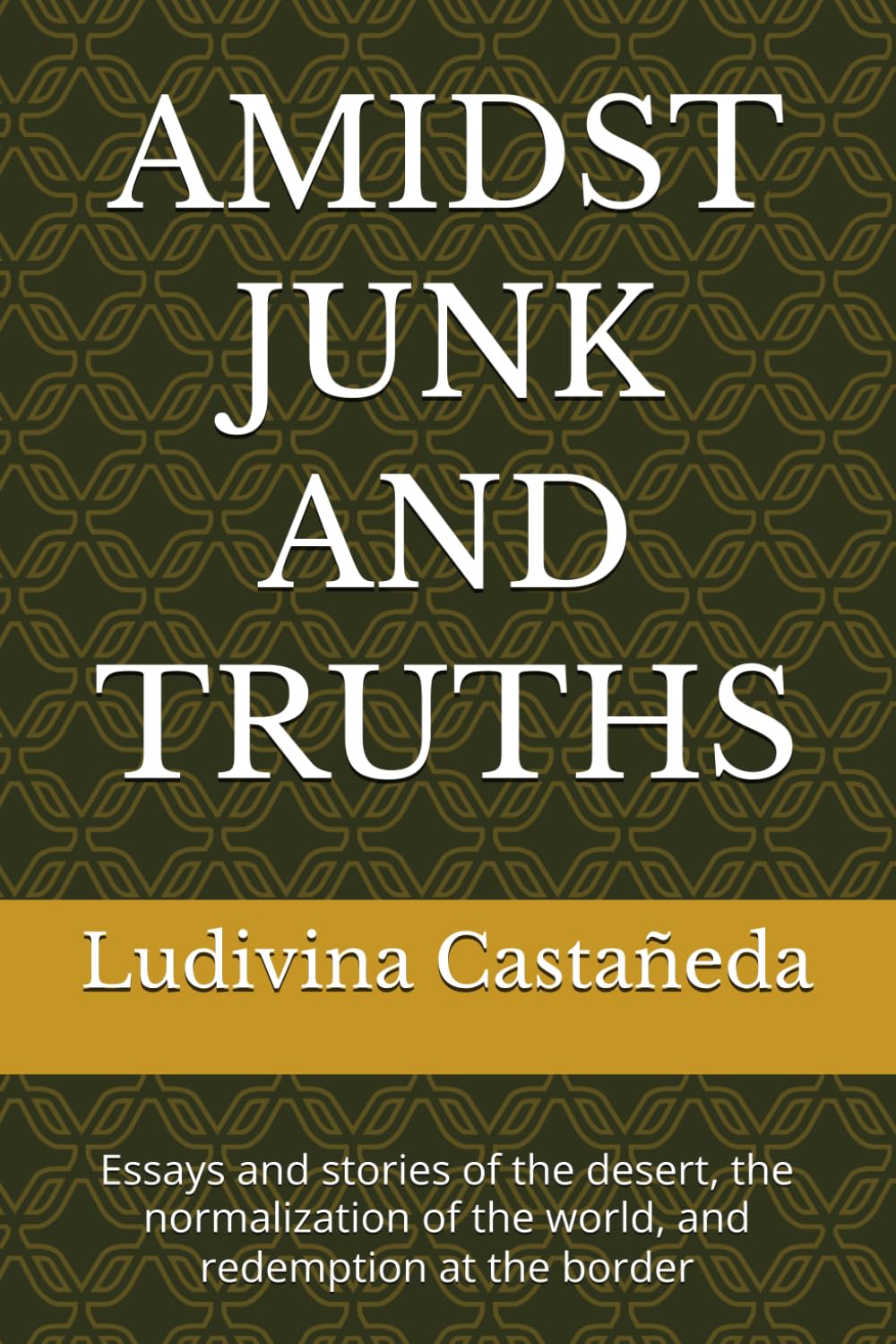 AMIDST JUNK AND TRUTHS: Essays and stories of the desert, the normalization of the world, and redemption at the border