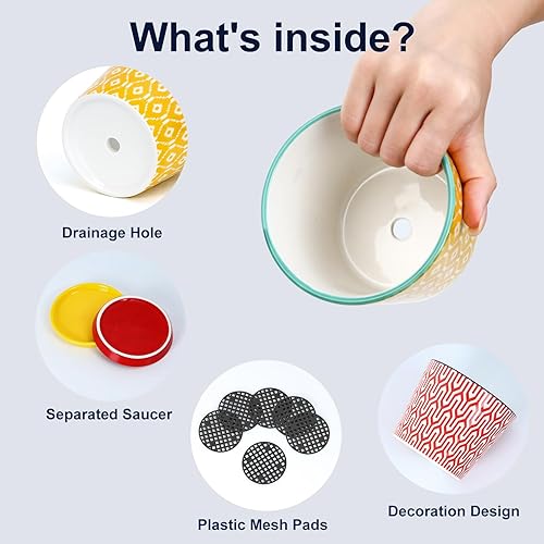 Miniatura 4 de Selamica Macetas de cerámica para suculentas, macetas pequeñas de 3.4 pulgadas para plantas con agujeros de drenaje y platillos, macetas suculentas