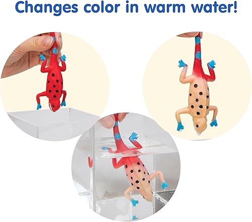 Miniatura 2 de Schylling Juguete Revealeons que cambia de color, 1 EA