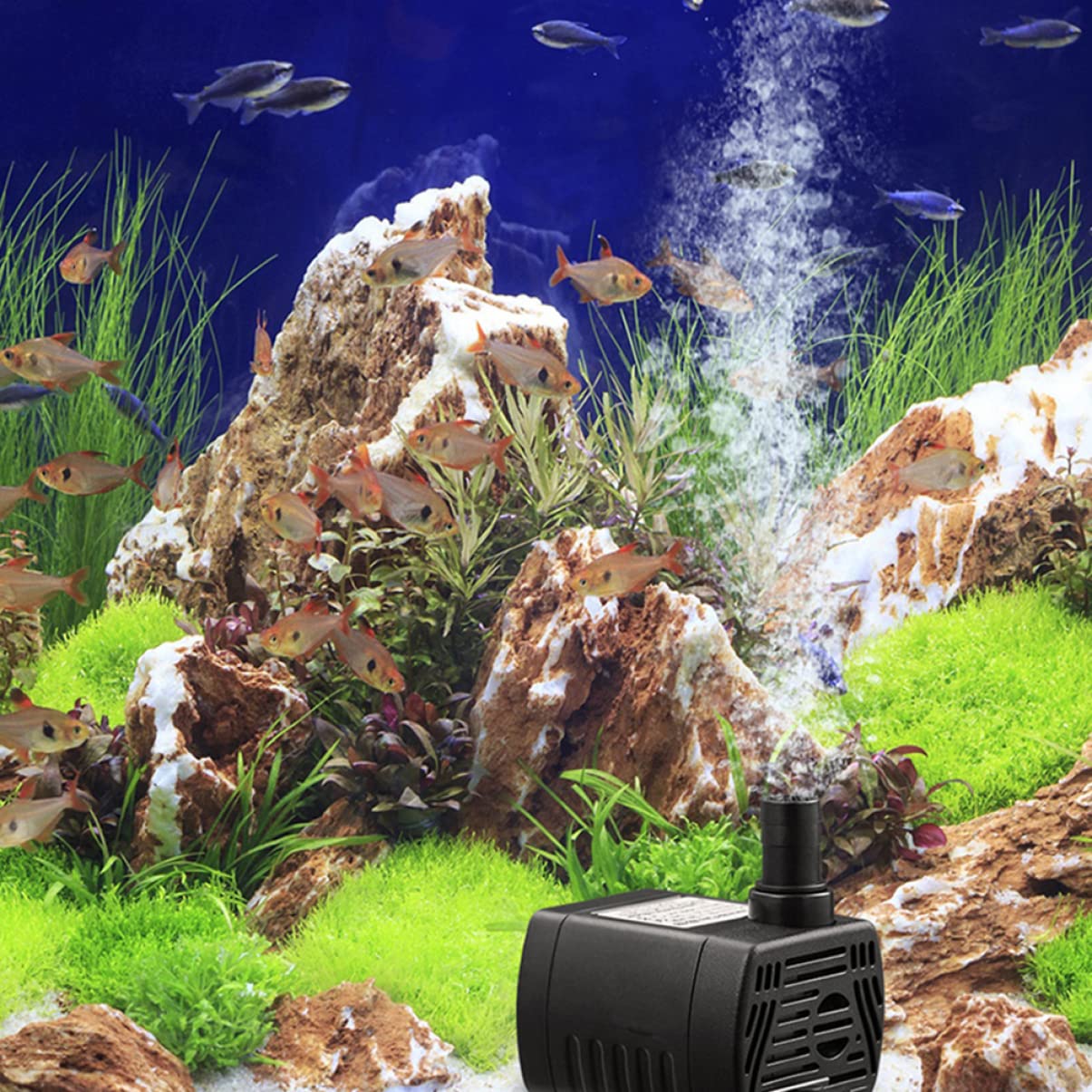 Kisangel 3stücke Miniaturisierte Tauchpumpe Für Aquarien Und Teiche Förderhöhe Leise Energieeffizient Für Brunnen Wasseranlagen Und Hydroponik-systeme Installieren Und Reinigen