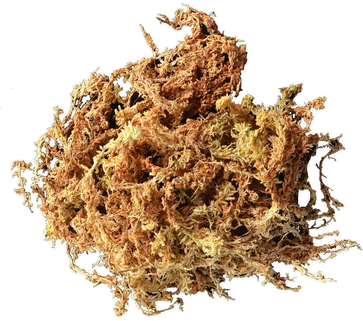 SPHAGNUM MOSS 432CU IN
