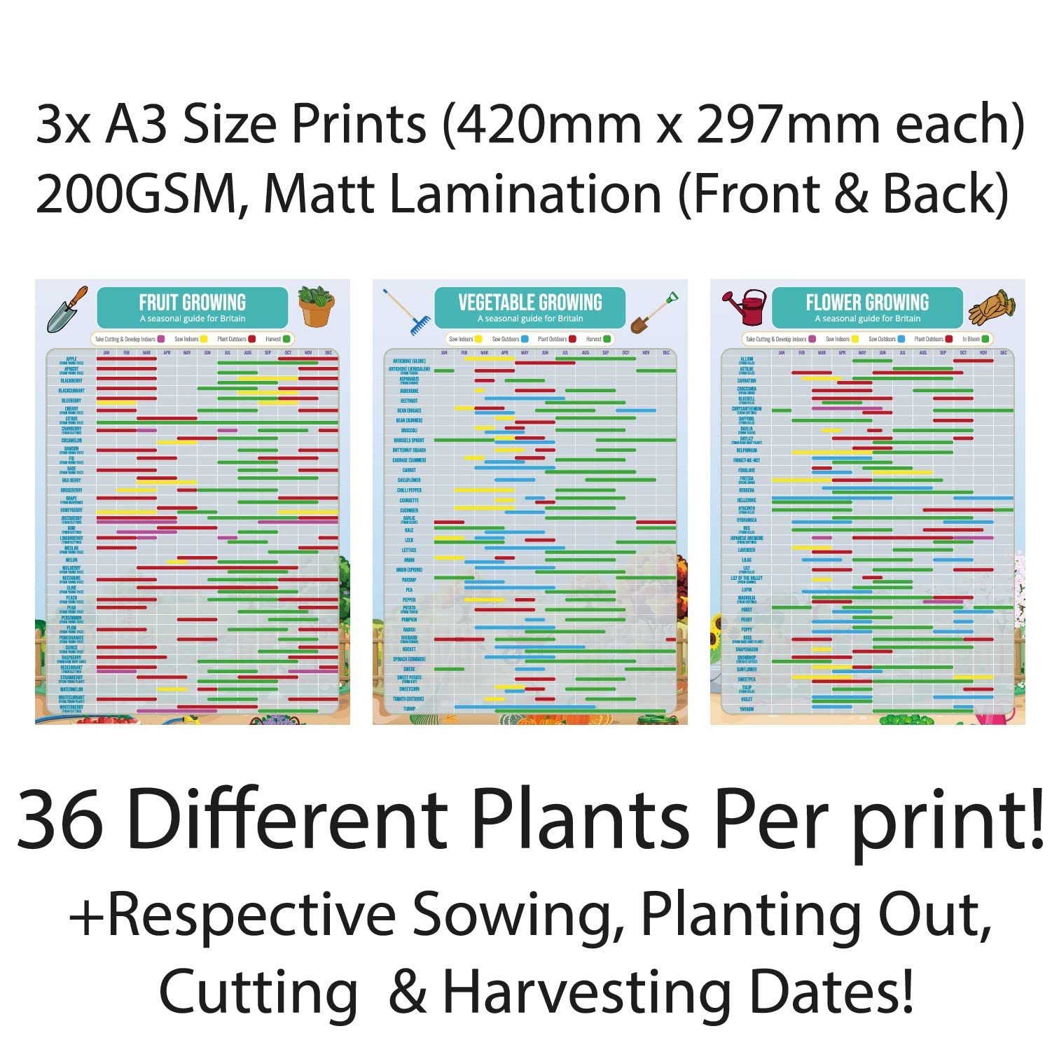 Whats In Season Vegetable Harvest Chart Gardening Fruit Growing