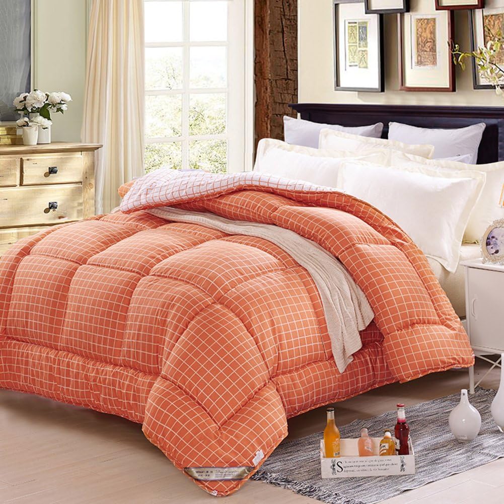 WENXXXXX Quilt Winter was the core Single-double thick warm blanket Spring and autumn-C 180x220cm(71x87inch)