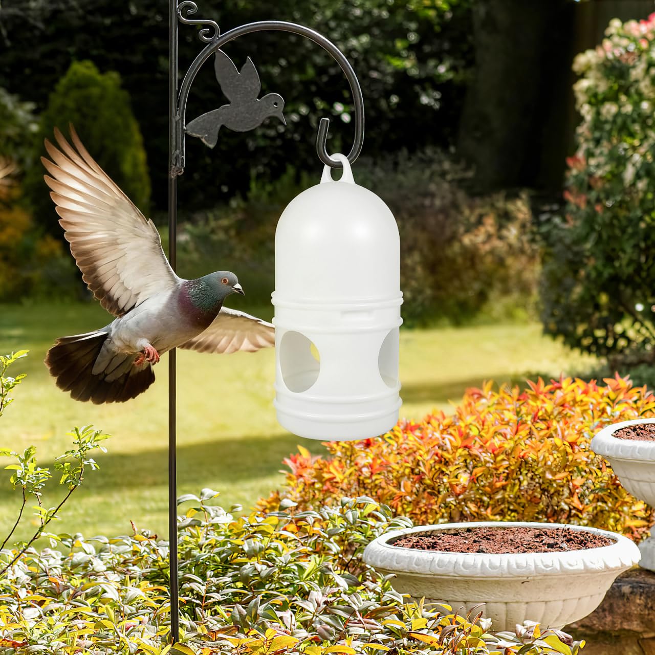 balacoo Dispensador de agua para pájaros: 2 comederos de agua para palomas, hervidor de agua desmontable para palomas, botella de agua universal para pájaros, práctico dispensador de agua para