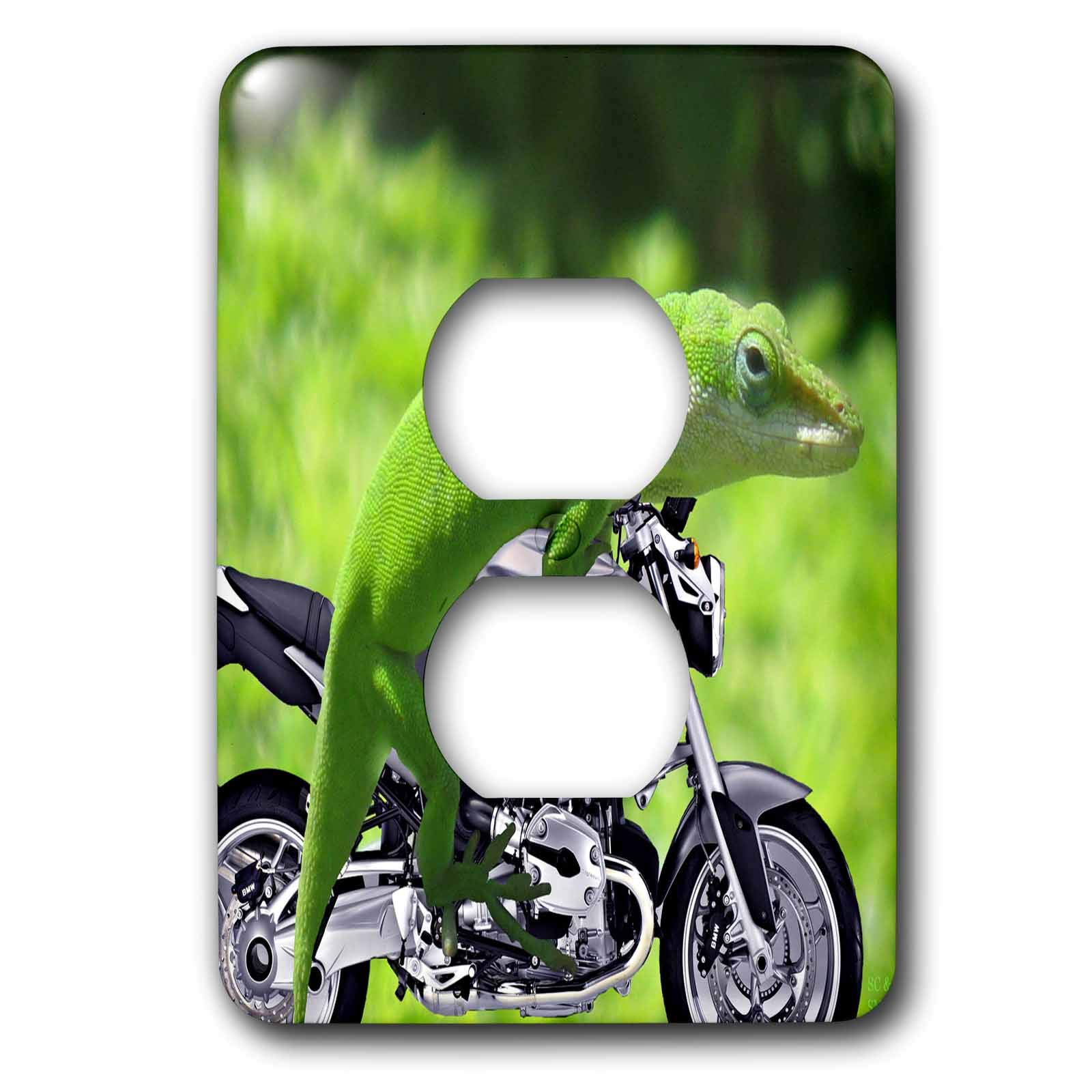 Gecko Rider Cache 2 prises 3dRose Lsp_21653_6 pour plaque murale