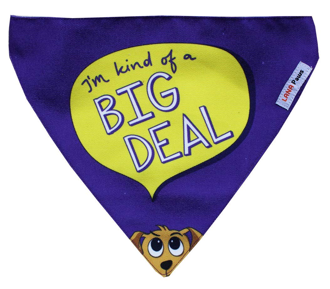 Lana Paws I am Kind of a Big Deal Dog Bandana/Dog Scarf, S-M (B07L6K5SMB) Amazon Price History, Amazon Price Tracker
