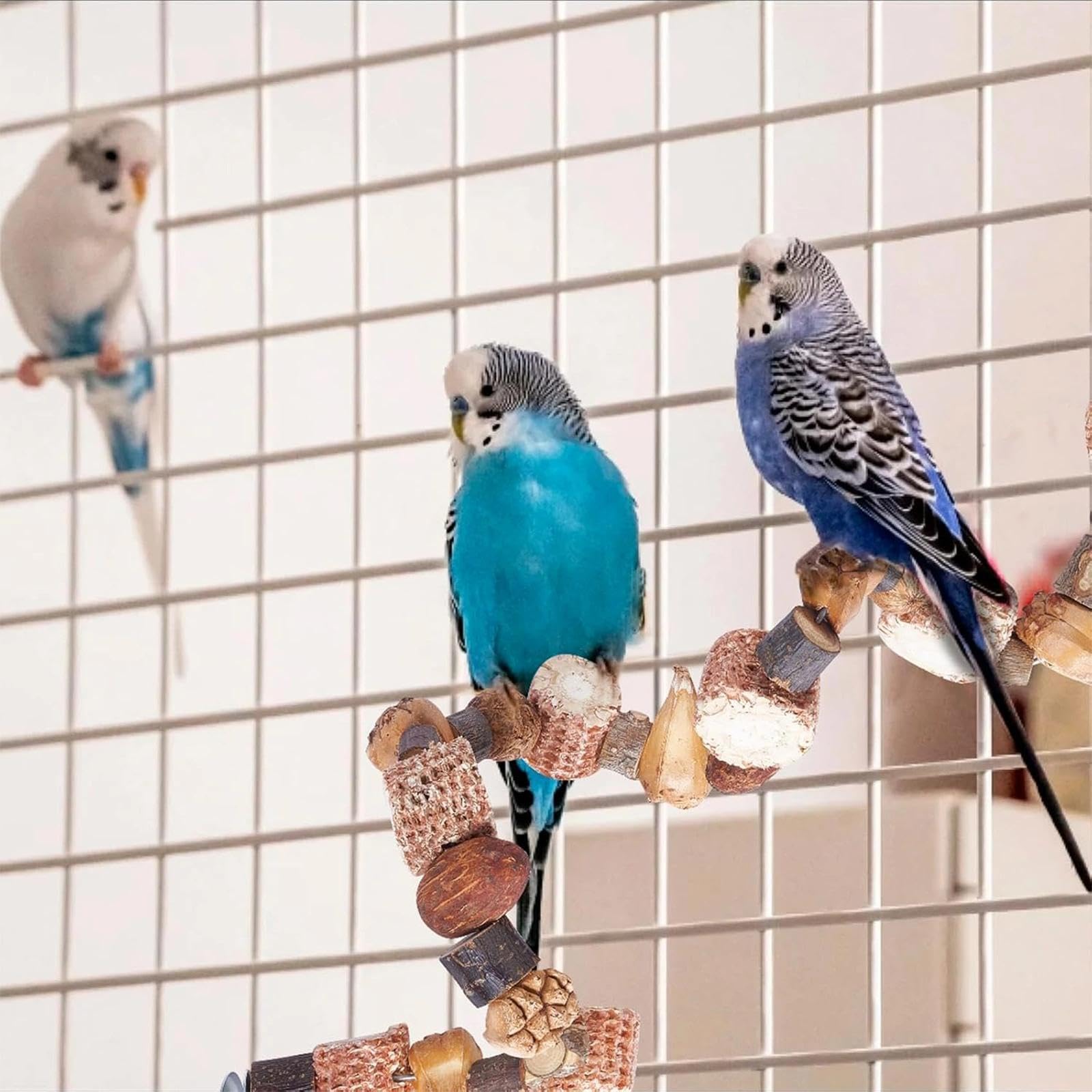 50 CM Perchoir Perroquet Jouet Perroquet Perchoir Oiseaux Jouets à Mâcher à Suspendre Perchoirs Perruches pour Perruches Inséparables Pinsons et Autres Petits Animaux de Compagnie