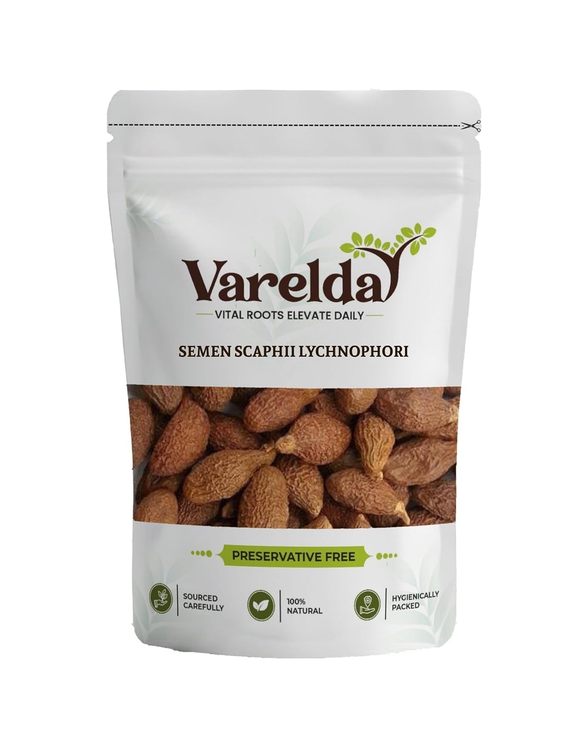 VARELDA Semen Scaphii Lychnophori - Niranjan Phal - Sterculia Lychnophora (1000 Grams) - Review, Price and Buying Guide
