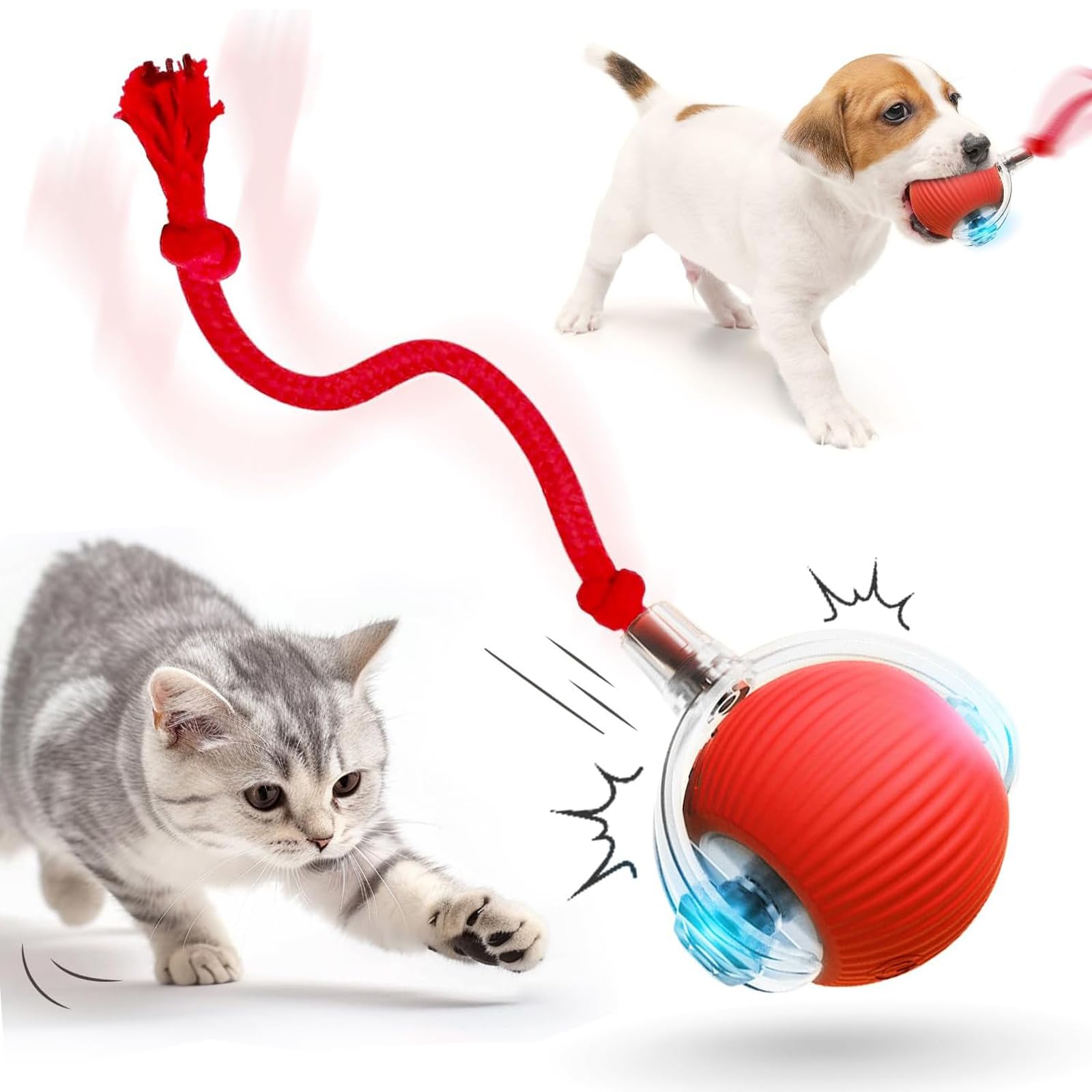 Balle chat interactive intelligente contre l'ennui des animaux seuls à la maison
