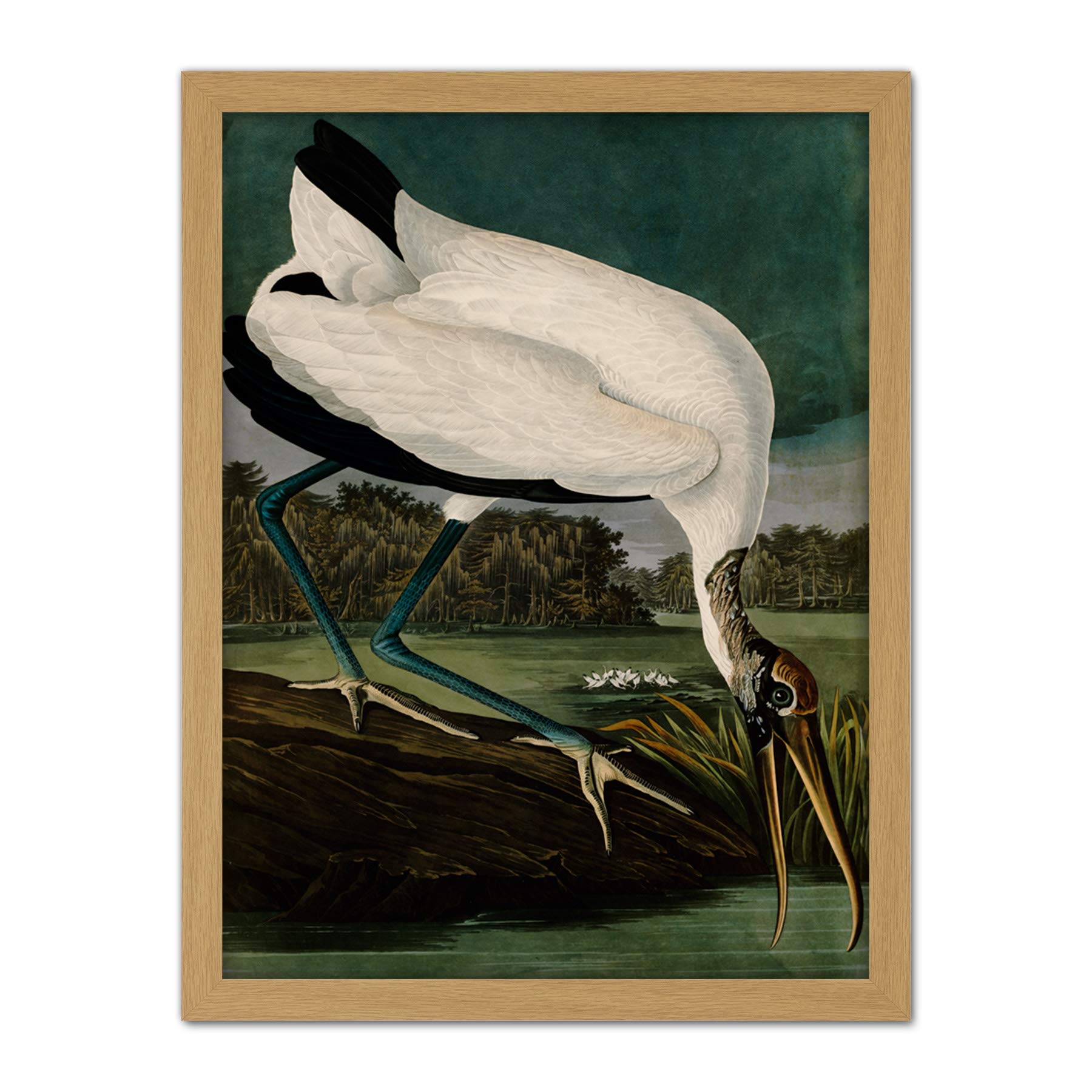 Artery8 Audubon Birds Wood Ibis Painting Artwork Framed Wall Art Print 18X24 Inch