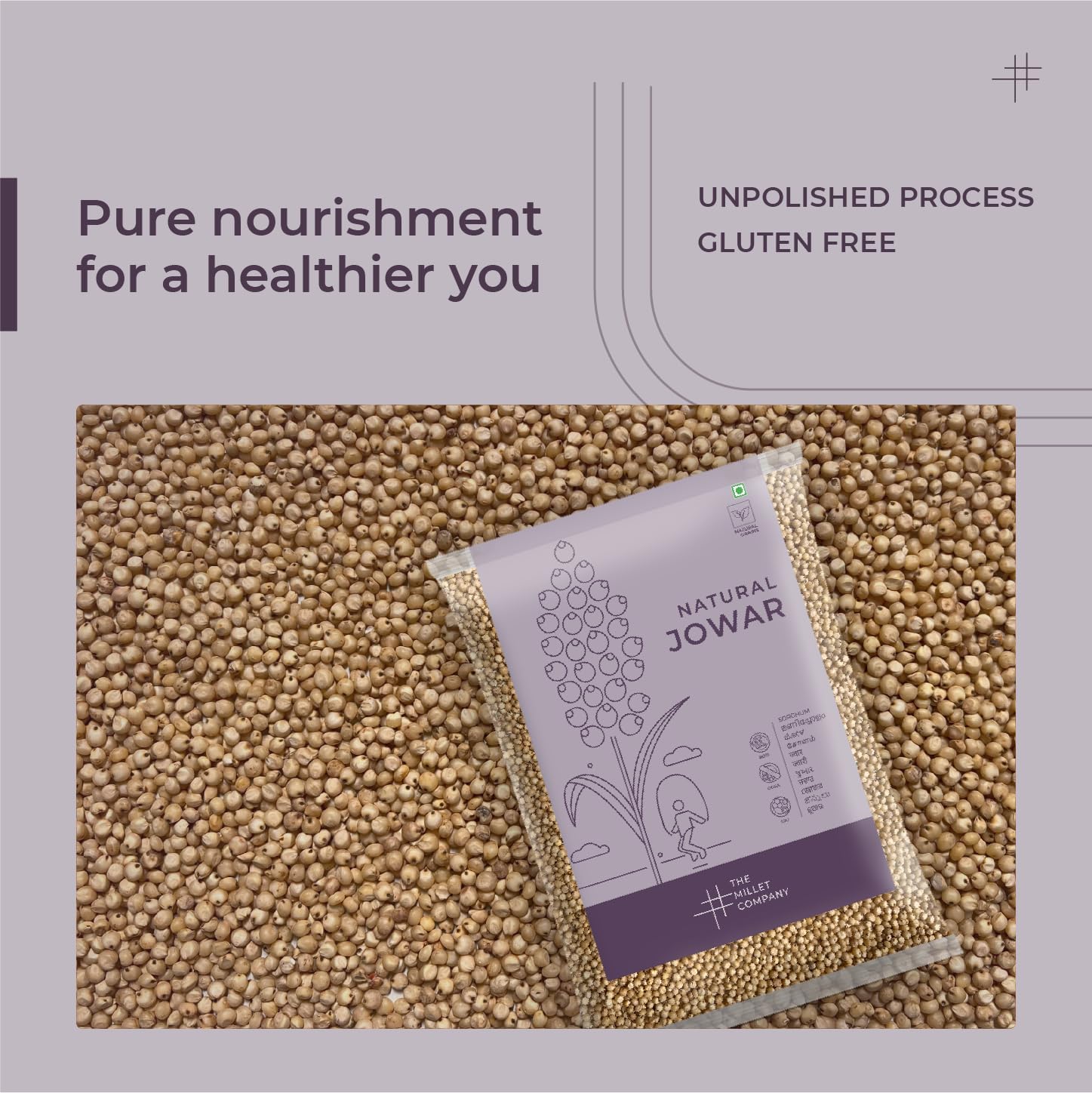 THE MILLET COMPANY 天然ジョワール 1 KG、ソルガム、グルテンフリー、高繊維キビ、健康食品代替品 1 kg (1