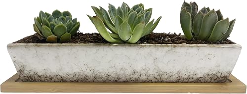 Miniatura 1 de Macetero para suculentas, macetas rectangulares de cerámica para suculentas, mini contenedores de flores con platillos de bambú para oficina,