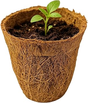 Planting Planter Flowerpot Seedling Pot Growing Container Plant Container | Palm Design Greenhouse Tray Box - Growing Containers Gardening Containers - Gardening Containers - Gardening, Nursery