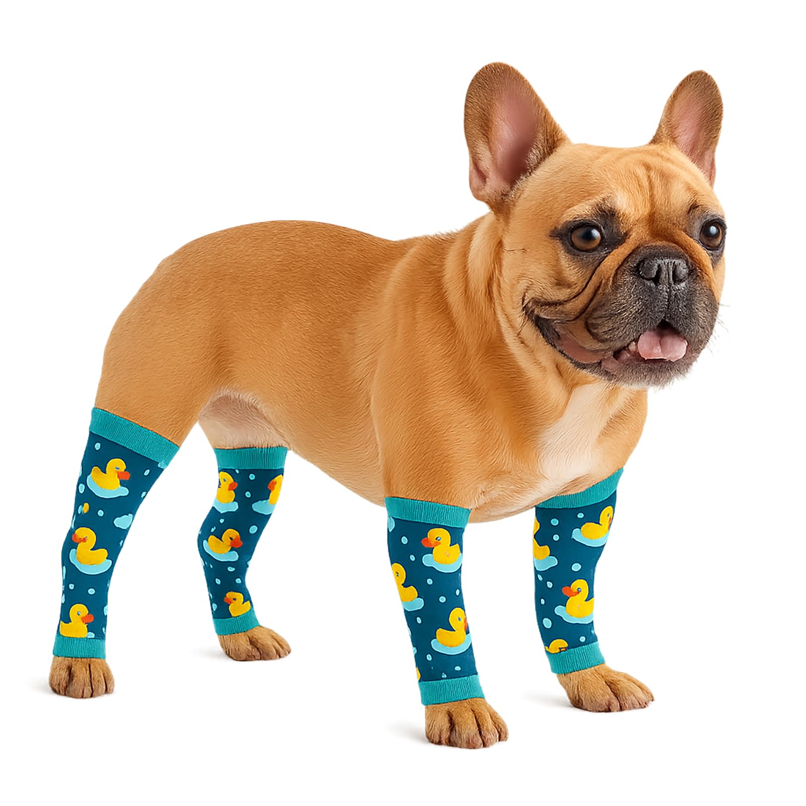 Manchons de soutien articulaires respirants pour petites races de chien PetWarm S