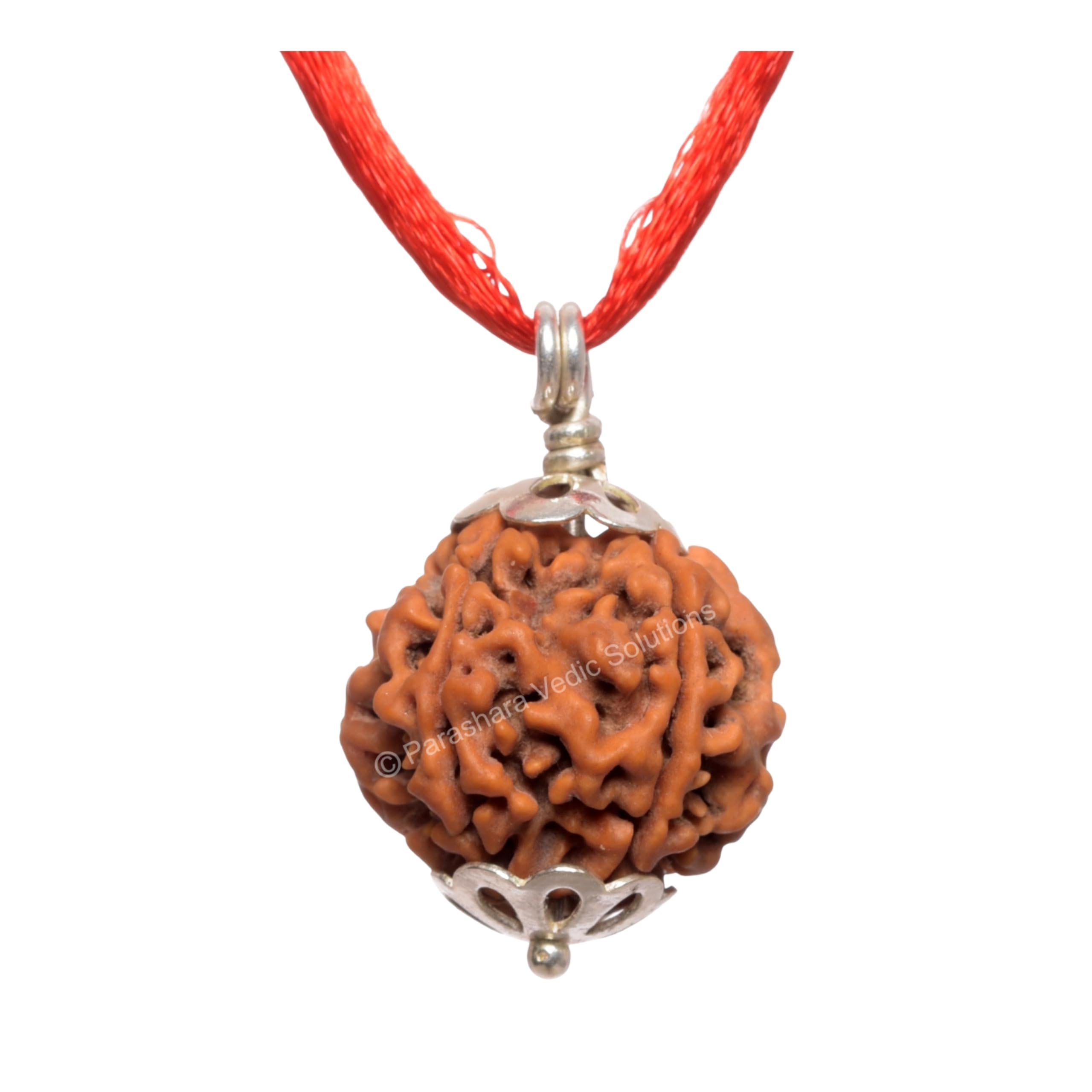 Genuine Nepali 5 Mukhi Rudraksha - Buy Now -8