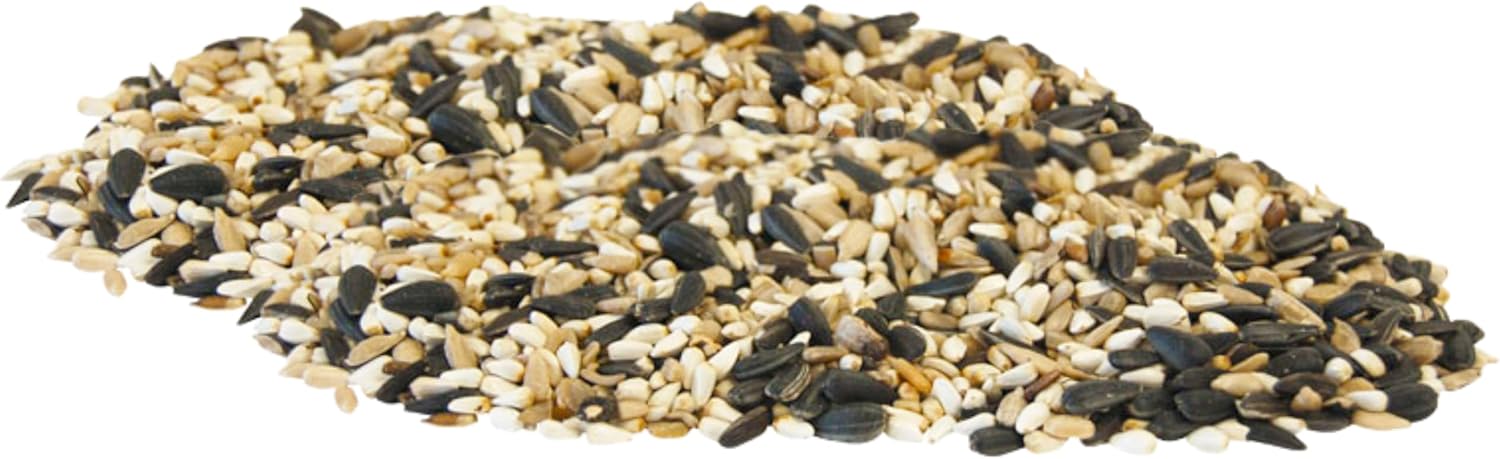 BestNest Wild Bird Seed Mix, Cardinal Blend, 10 lbs – Premium Sunflower & Safflower Seed Mix for Cardinals, Finches, and Songbirds – High-Protein Bird Food for Tube, Hopper & Platform Feeders